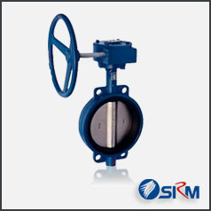  對(duì)夾式軟密封蝶閥